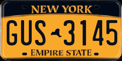 NY license plate GUS3145