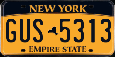 NY license plate GUS5313