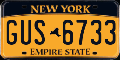 NY license plate GUS6733