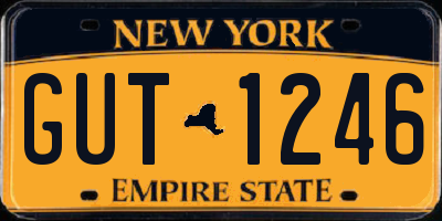 NY license plate GUT1246