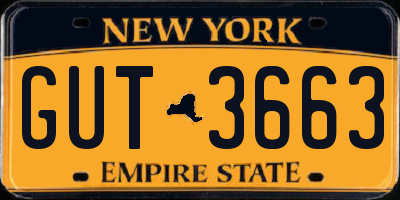 NY license plate GUT3663