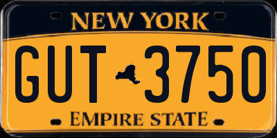 NY license plate GUT3750