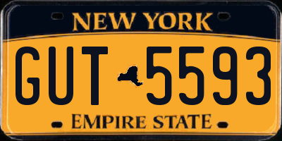 NY license plate GUT5593