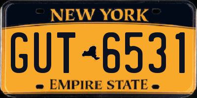 NY license plate GUT6531