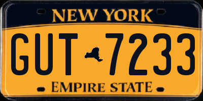 NY license plate GUT7233