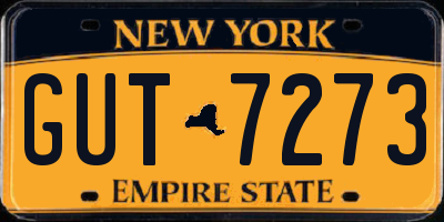 NY license plate GUT7273
