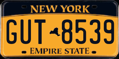 NY license plate GUT8539