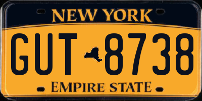 NY license plate GUT8738