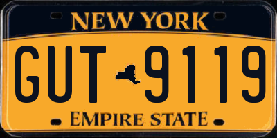 NY license plate GUT9119