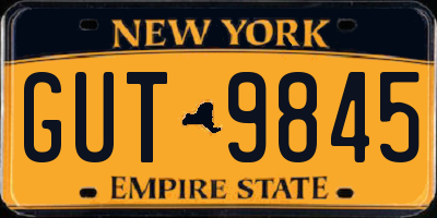NY license plate GUT9845