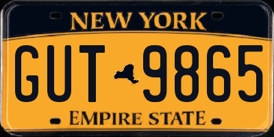 NY license plate GUT9865