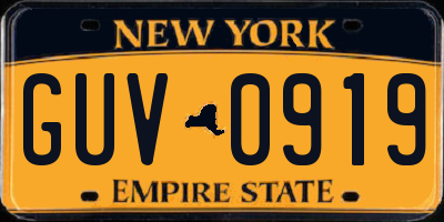 NY license plate GUV0919
