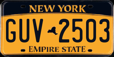 NY license plate GUV2503