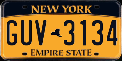 NY license plate GUV3134