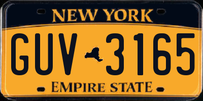 NY license plate GUV3165
