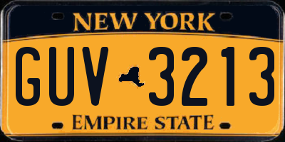NY license plate GUV3213