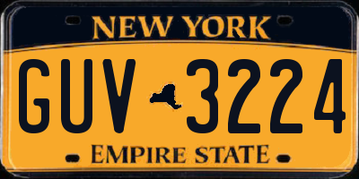 NY license plate GUV3224
