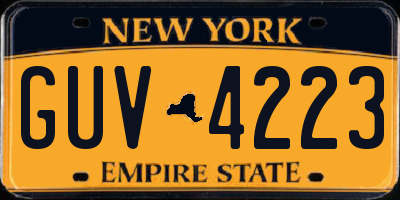 NY license plate GUV4223