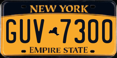 NY license plate GUV7300