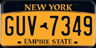 NY license plate GUV7349