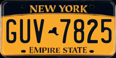 NY license plate GUV7825