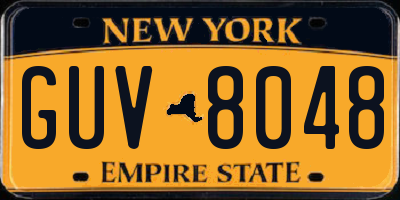 NY license plate GUV8048