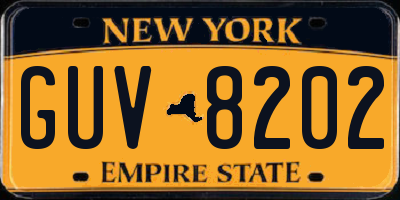 NY license plate GUV8202