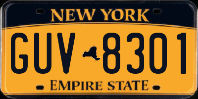 NY license plate GUV8301