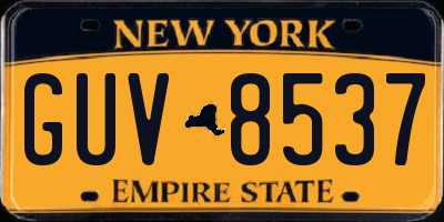 NY license plate GUV8537