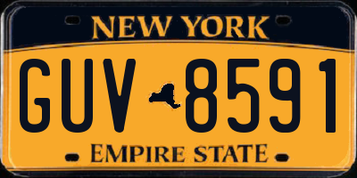NY license plate GUV8591