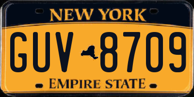 NY license plate GUV8709