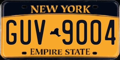 NY license plate GUV9004