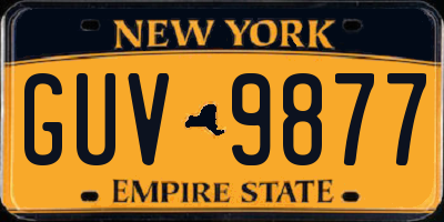 NY license plate GUV9877