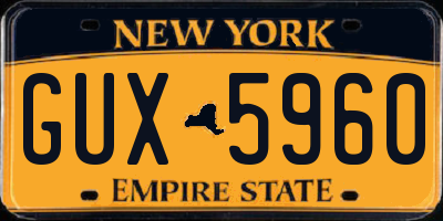 NY license plate GUX5960