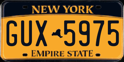 NY license plate GUX5975