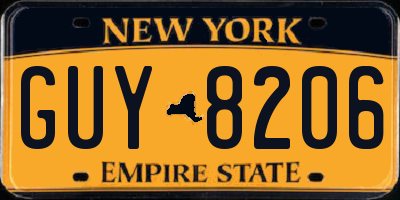 NY license plate GUY8206