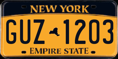 NY license plate GUZ1203