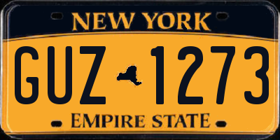 NY license plate GUZ1273