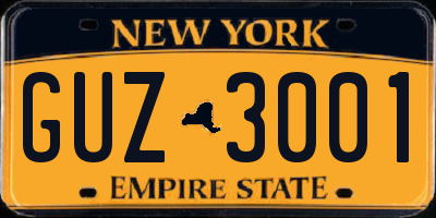 NY license plate GUZ3001