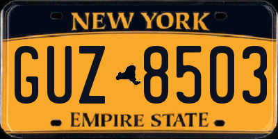 NY license plate GUZ8503