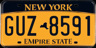 NY license plate GUZ8591