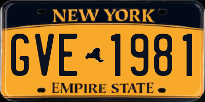 NY license plate GVE1981