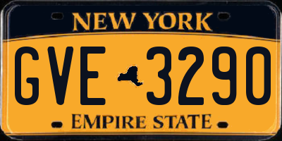 NY license plate GVE3290