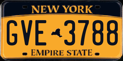 NY license plate GVE3788