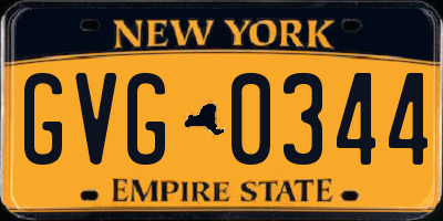 NY license plate GVG0344