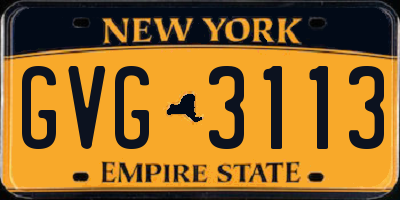 NY license plate GVG3113