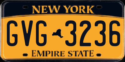 NY license plate GVG3236