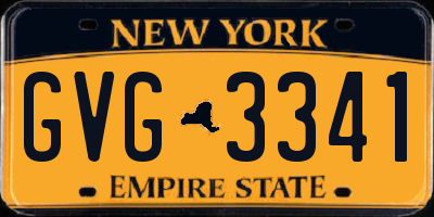 NY license plate GVG3341