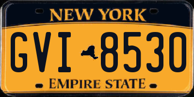NY license plate GVI8530