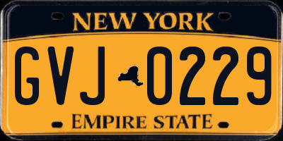 NY license plate GVJ0229